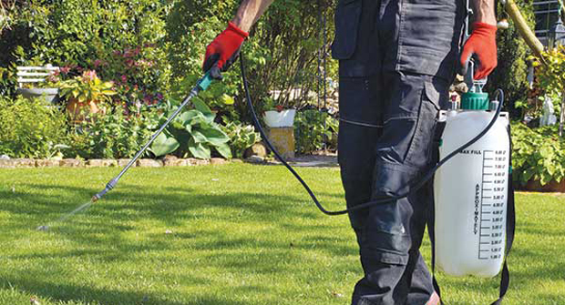 Person spraying lawn care application (Photo: Imagesines/iStock / Getty Images Plus/Getty Images)