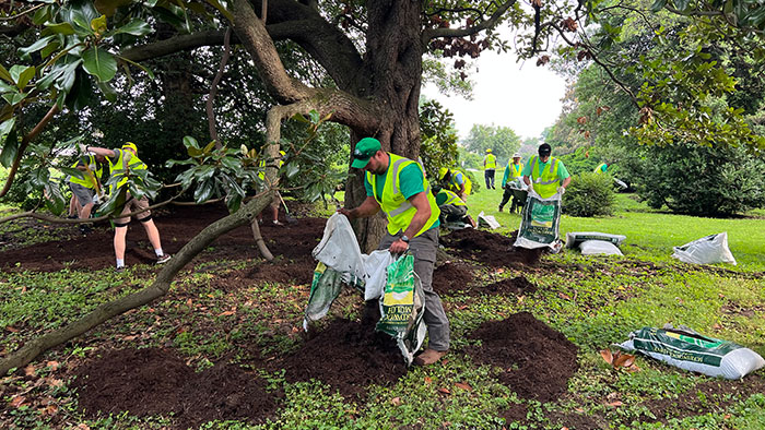 Volunteers mulched the areas surrounding magnolias, hews, boxwoods and holly plantings around the grounds of the Lincoln Memorial as part of NALP's Renewal and Remembrance. (Photo: LM Staff)