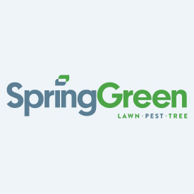 Logo: Spring Green