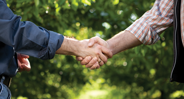 (Photo: fatihhoca/iStock / Getty Images Plus/Getty Images)