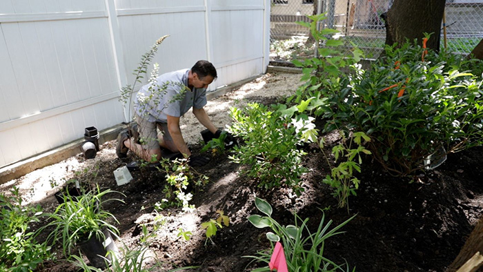 Project EverGreen Bradhurst Garden