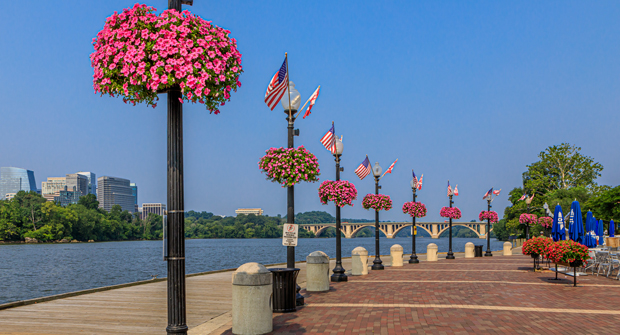Photo courtesy of Ruppert Landscape