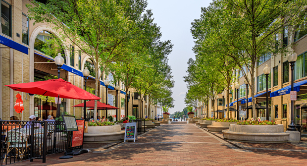 Photo courtesy of Ruppert Landscape
