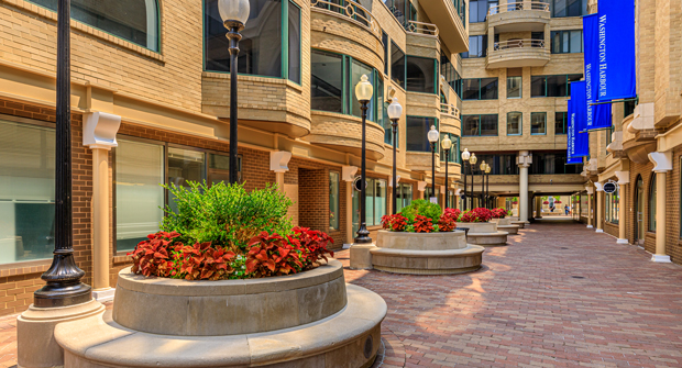 Photo courtesy of Ruppert Landscape