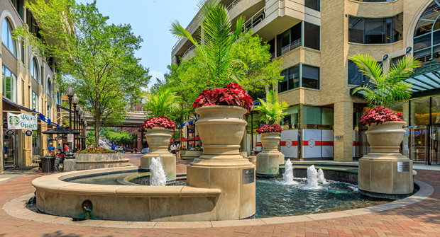 Photo courtesy of Ruppert Landscape