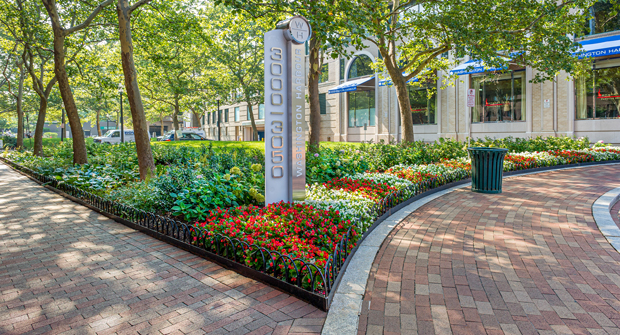 Photo courtesy of Ruppert Landscape