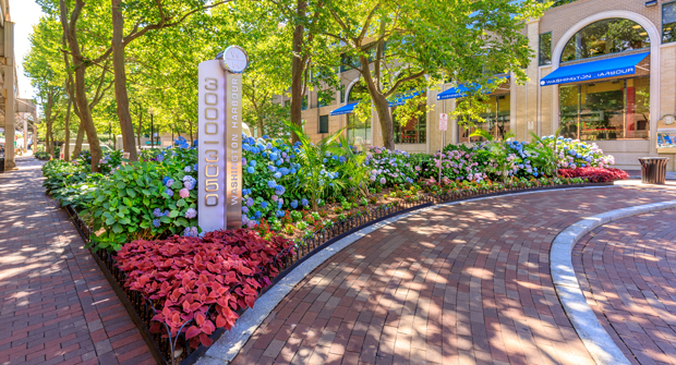 Photo courtesy of Ruppert Landscape