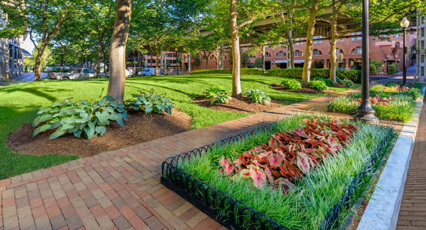 Photo courtesy of Ruppert Landscape
