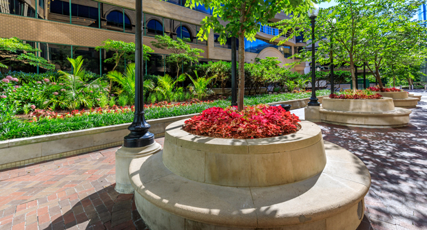 Photo courtesy of Ruppert Landscape