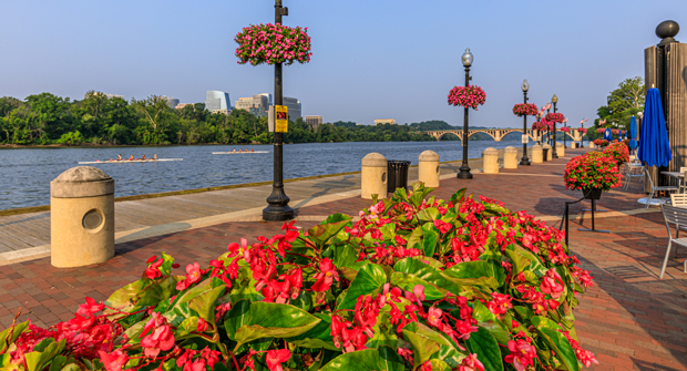 Photo courtesy of Ruppert Landscape
