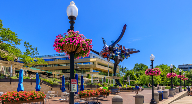 Photo courtesy of Ruppert Landscape