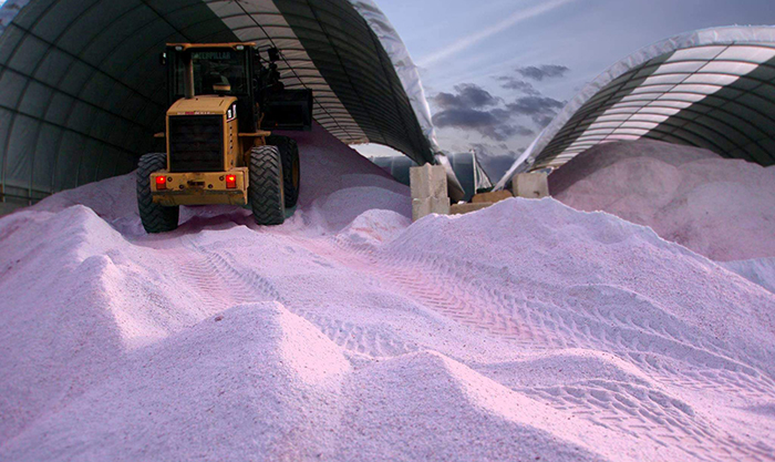 (Photo: Hot Pink Deicer)