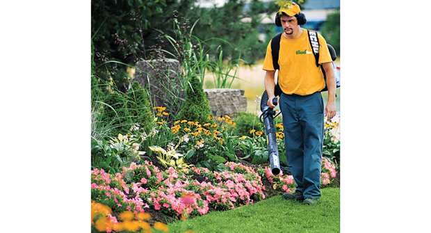 (Photo: The Grounds Guys)
