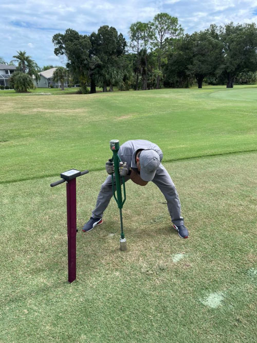 Scientists from the University of Florida are researching cost-effective control techniques for nematodes and fungal diseases. (Photo courtesy Marco Schiavon)