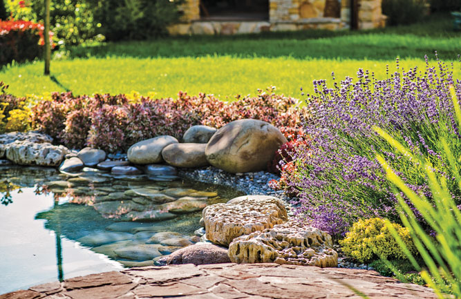 Professionals should always be looking for ways to improve the filtration of ponds, according to experts. (Photo: YuraWhite/iStock / Getty Images Plus/Getty Images)