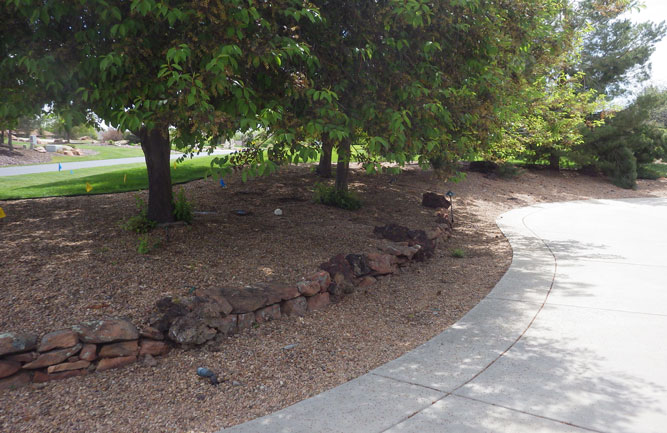 A before shot shows the preexisting trees on the property, which laid bare before new plantings. (Photo: Alpine Gardens)