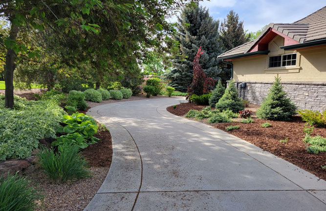 Jack Fetig, president of Alpine Landscapes, says his team installed plenty of shade-loving plants, sprucing up several areas on the property. (Photo: Alpine Gardens)
