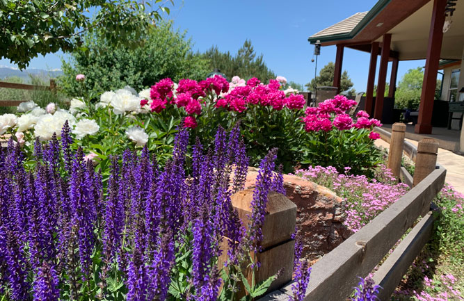 The property features a wide variety of plantings chosen to withstand the elements. (Photo: Alpine Gardens)