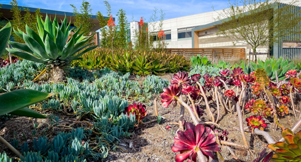 Photo courtesy of LandCare