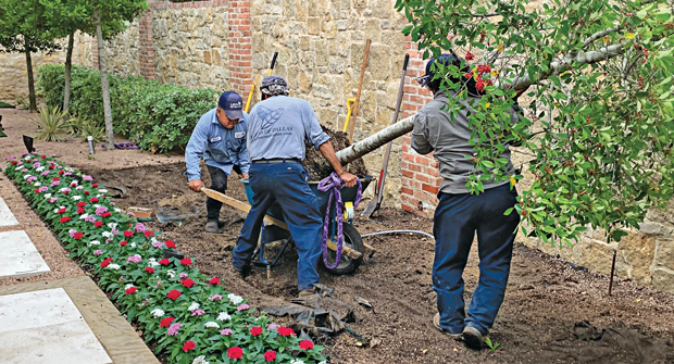 Lawns of Dallas President Madison Gardner credits his team’s focus on continuous improvement as a key part of his company’s growth. (Photo: Lawns of Dallas)