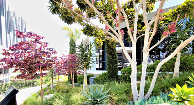 (Photo courtesy of Cadre Landscaping and The Muller Company)