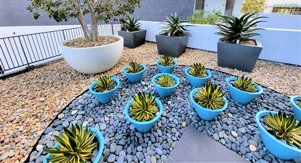 (Photo courtesy of Cadre Landscaping and The Muller Company)