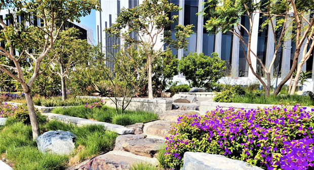 (Photo courtesy of Cadre Landscaping and The Muller Company)