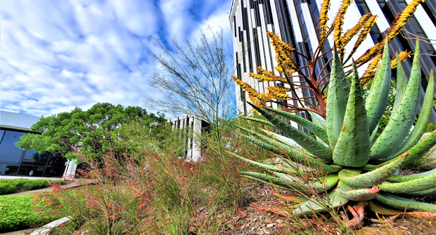 (Photo courtesy of Cadre Landscaping and The Muller Company)