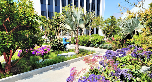 (Photo courtesy of Cadre Landscaping and The Muller Company)