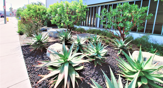 (Photo courtesy of Cadre Landscaping and The Muller Company)