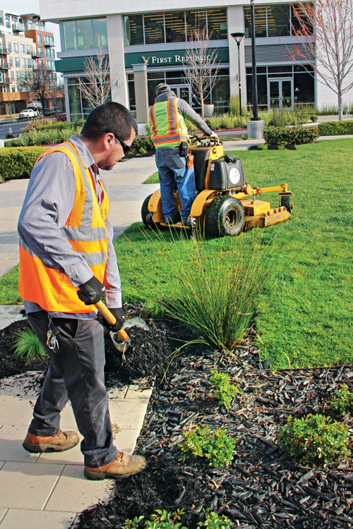 Pros say it’s best to start new team members with smaller maintenance jobs before mowing. (Photo: LM Staff)