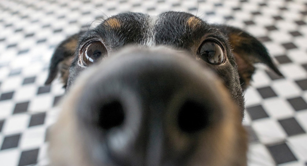 Photo: BRUNORBS/ISTOCK / GETTY IMAGES PLUS/GETTY IMAGES