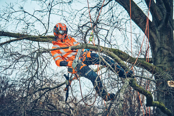 Both the 560 XP and the 562 XP 9 (pictured) will be available with heated handles/carburetor in relevant markets. (Photo: Husqvarna)