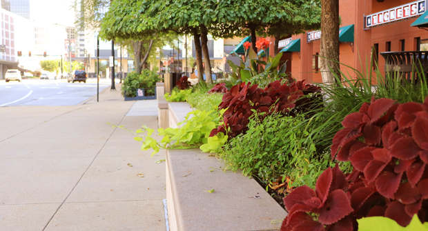 (Photo: Focal Pointe Outdoor Solutions)