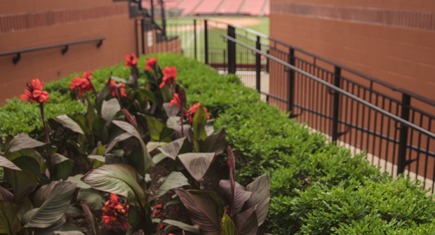 (Photo: Focal Pointe Outdoor Solutions)