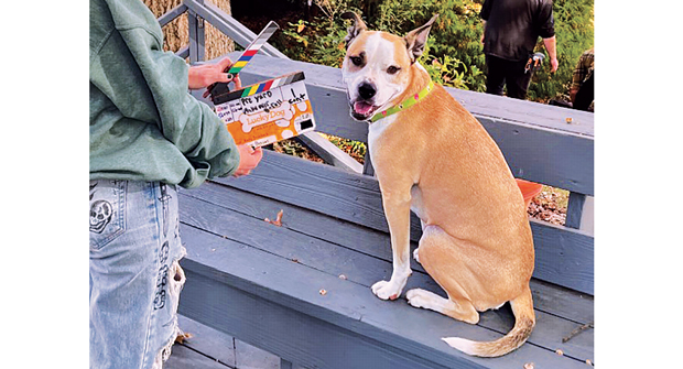 Mulligan the TurfMutt, pictured here on location filming for an episode of CBS/Hearst’s Lucky Dog, teaches that nature starts at our back door. (Photo: TurfMutt Foundation)