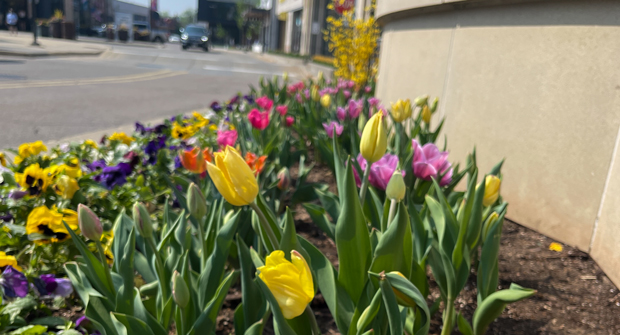 (Photo: David J. Frank Landscape Contracting)