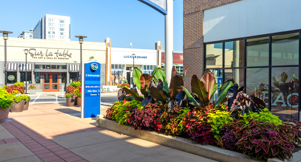(Photo: David J. Frank Landscape Contracting)