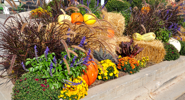 (Photo: David J. Frank Landscape Contracting)
