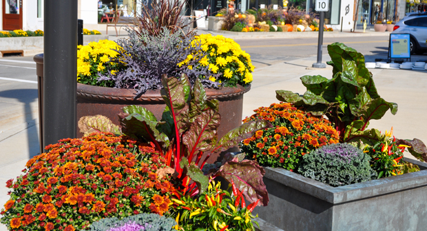 (Photo: David J. Frank Landscape Contracting)