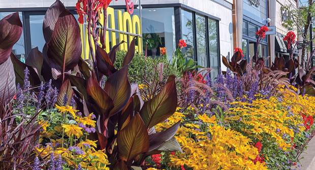 (Photo: David J. Frank Landscape Contracting)