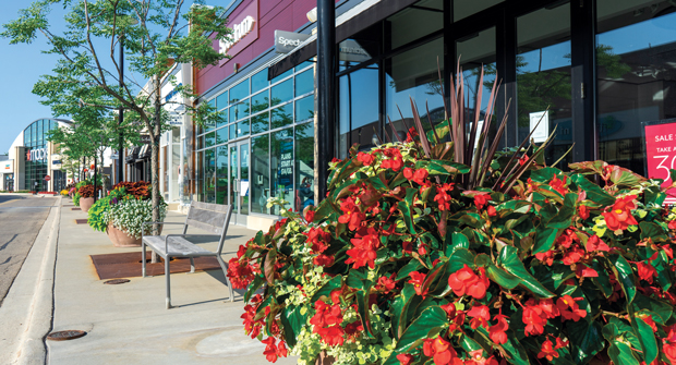 (Photo: David J. Frank Landscape Contracting)