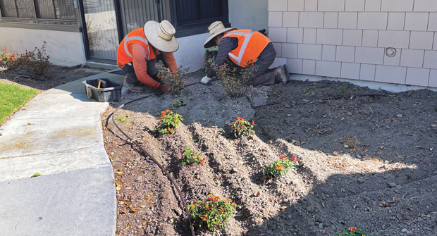 (Photo: Harvest Landscape Enterprises)