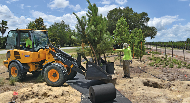 Cherrylake added sustainable landscape installations and management to help distinguish itself from its competitors in a tough commercial market in Florida. (Photo: Cherrylake)