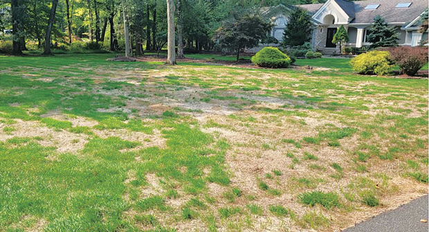 Keeping turf safe from heat and drought stress is a year-round job for certain parts of the country says Steve Murray, government contracting and agronomic manager at McCall Service in Jacksonville, Fla. (Photo: Pro Green Lawn Care)