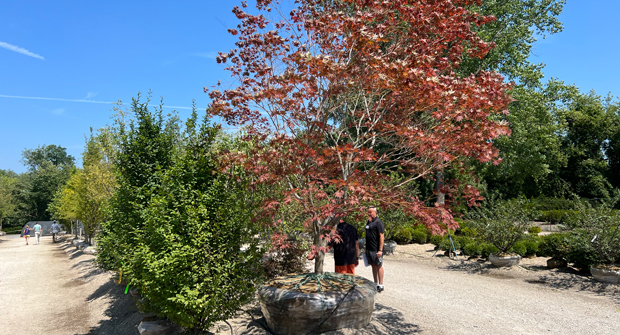 Ostheimer praised the nursery that attendees were able to view at the event. (Photo: LM Staff)