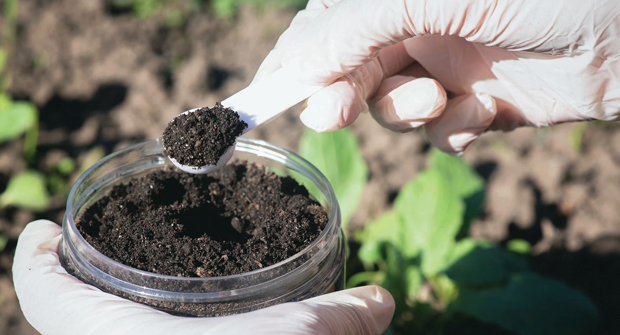Understanding the soil type will help you better manage the nutrient needs of your turf. (Photo: HappyNati/iStock / Getty Images Plus/Getty Images)