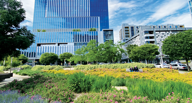 (Photo courtesy of Pacific Landscape Management)