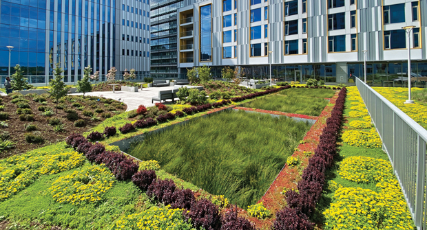 (Photo courtesy of Pacific Landscape Management)