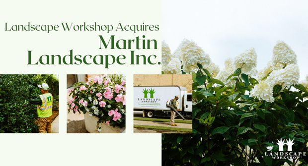(Graphic: Landscape Workshop)